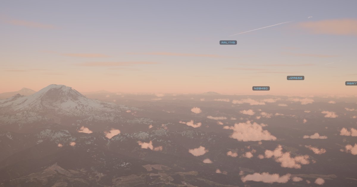 stowaway.live image